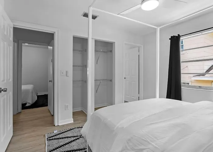 Zebra House - Close 2 All Tampabay Has To Offer