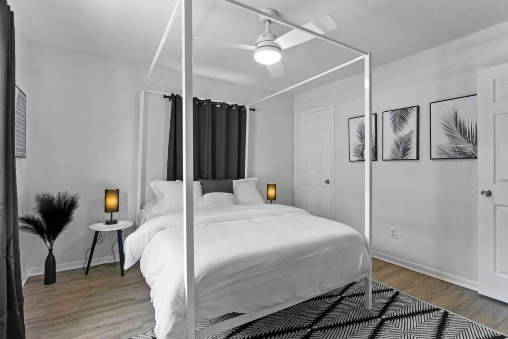 Zebra House - Close 2 Tampabay Has To Offer * Tampa