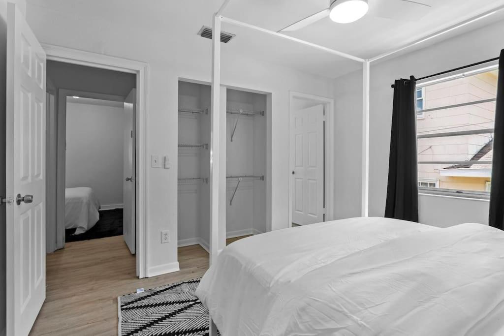Zebra House - Close 2 Tampabay Has To Offer * Tampa